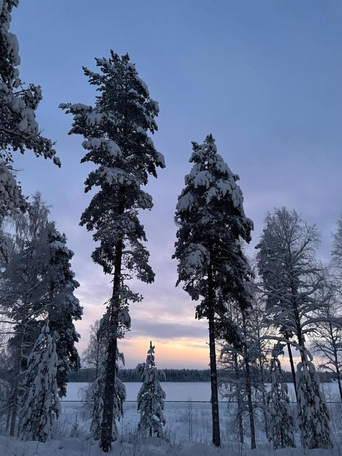 Rieskapaikka Villa Koivu Exteriör bild