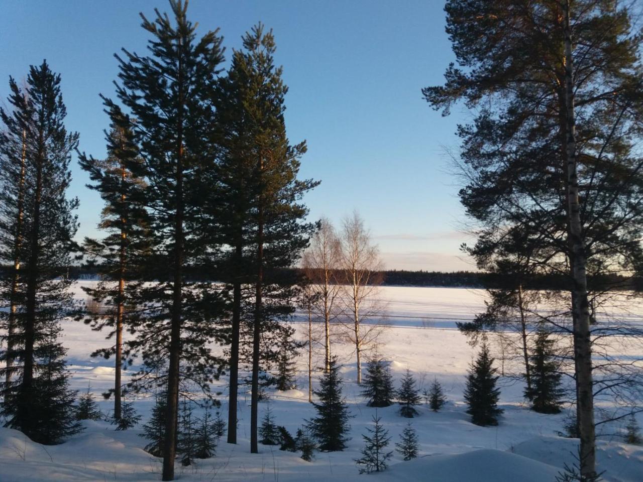 Rieskapaikka Villa Koivu Exteriör bild